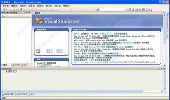 VS2005专业破解版 visual studio 2005 专业破解版 附详细图文教程