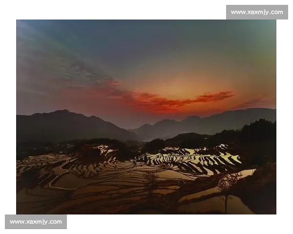 与晨曦同行在清晨的第一缕阳光下挑战自我早起朗诵的力量